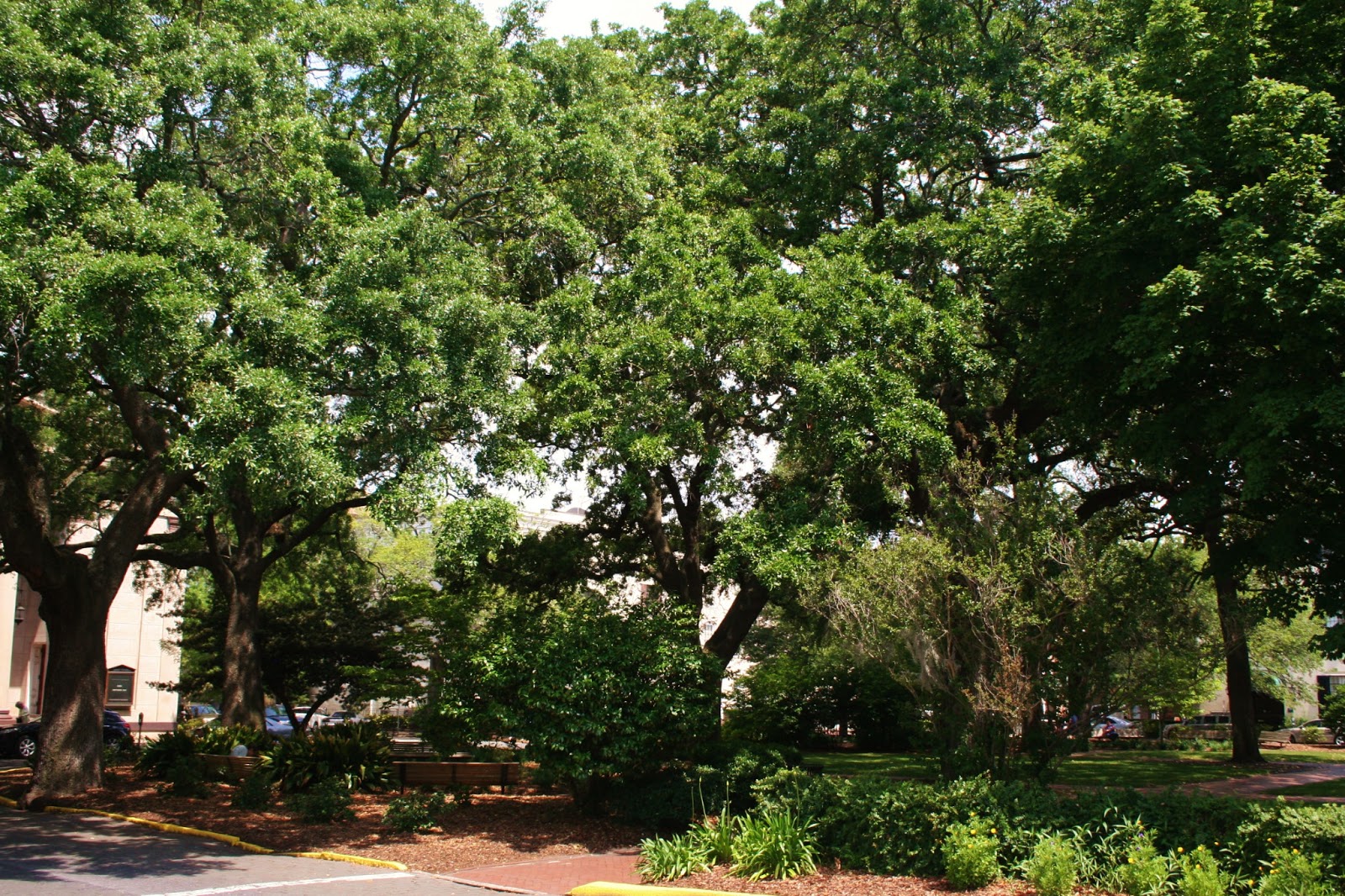 Main idea sentence examples image