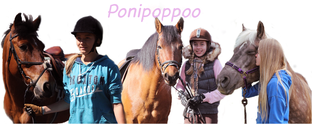 Ponipoppoo