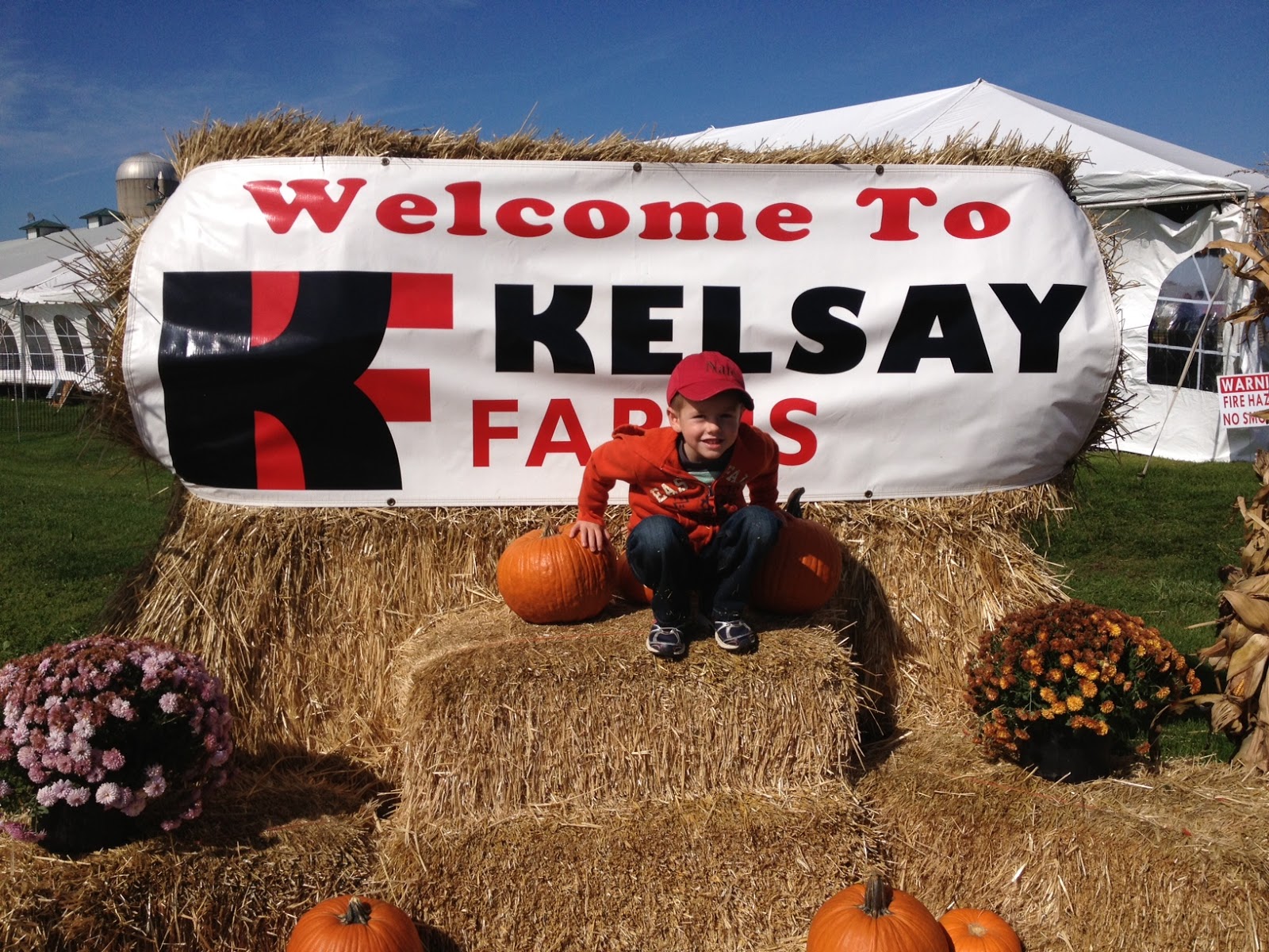 LoisPearl A Birthday Surprise at Kelsay Farms