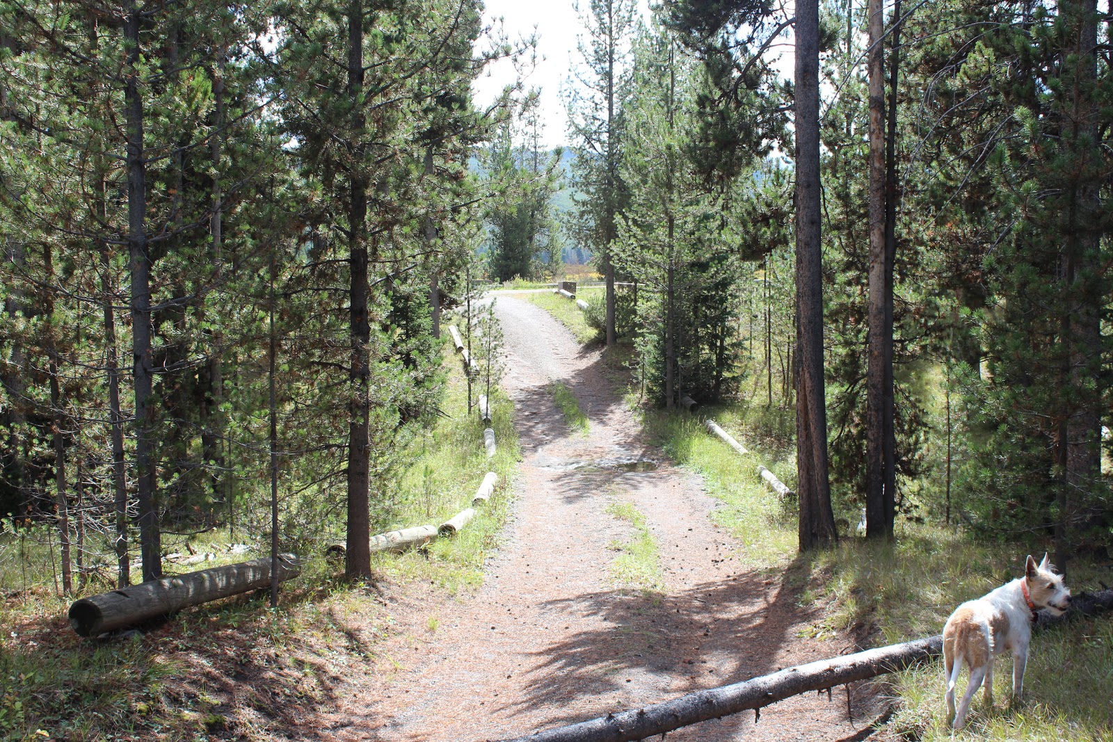 The Massey Family On the road again Camping along Grassy Lake Road in the John D. Rockefeller