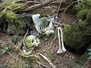 aokigahara esqueleto