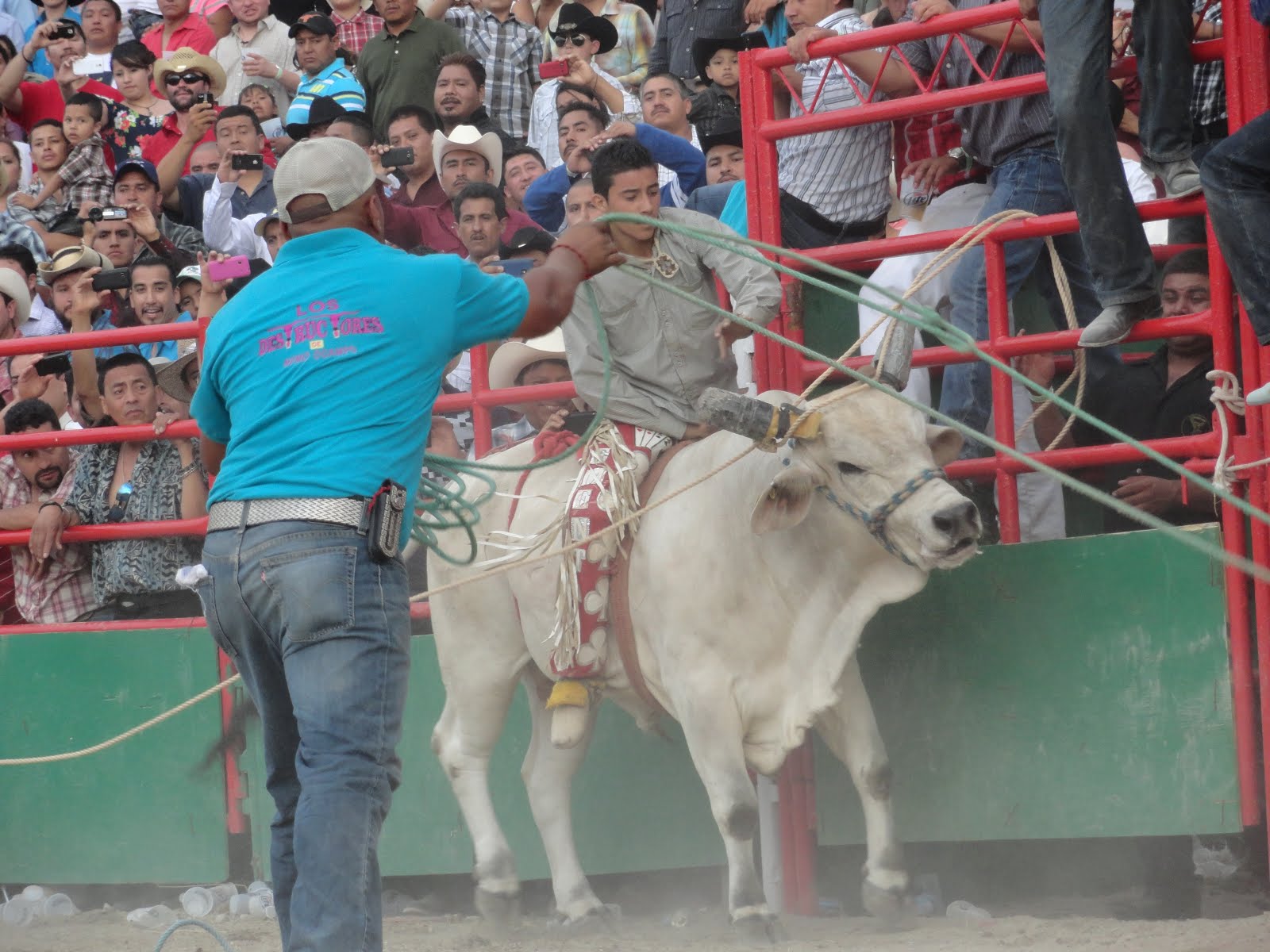 LOS DESTRUCTORES DE MEMO OCAMPO 