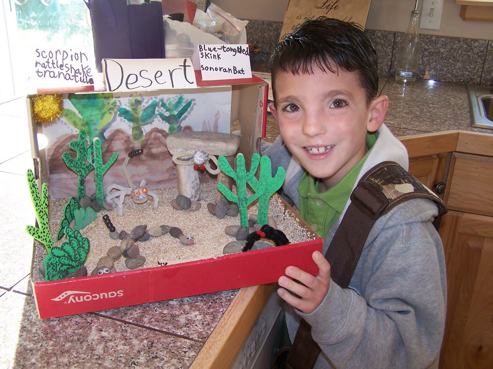Team Bryan's Home Plate Kendal's Desert Habitat Diorama
