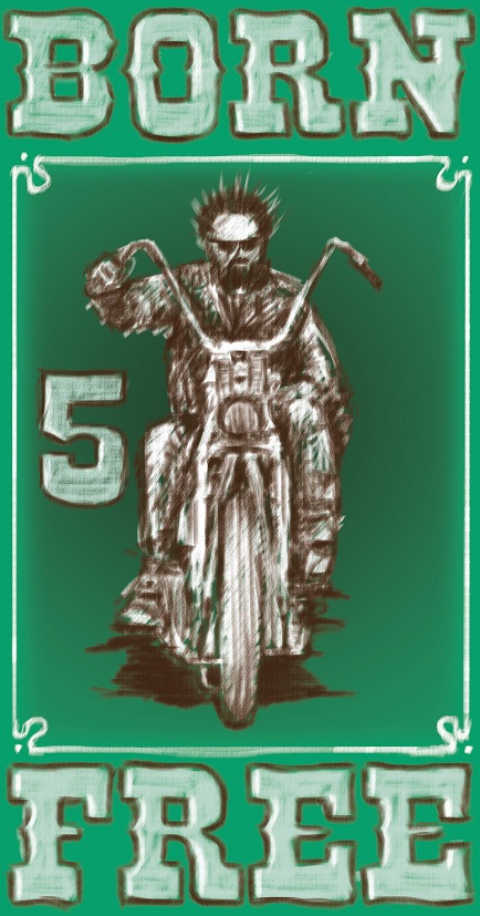 a few more for the flyer contest born free motorcycle show born free flyer