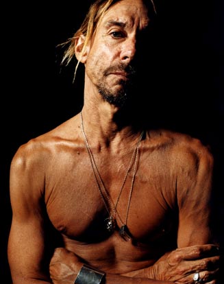 IGGY POP INJURED DURING SHOW