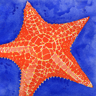 Orange Starfish