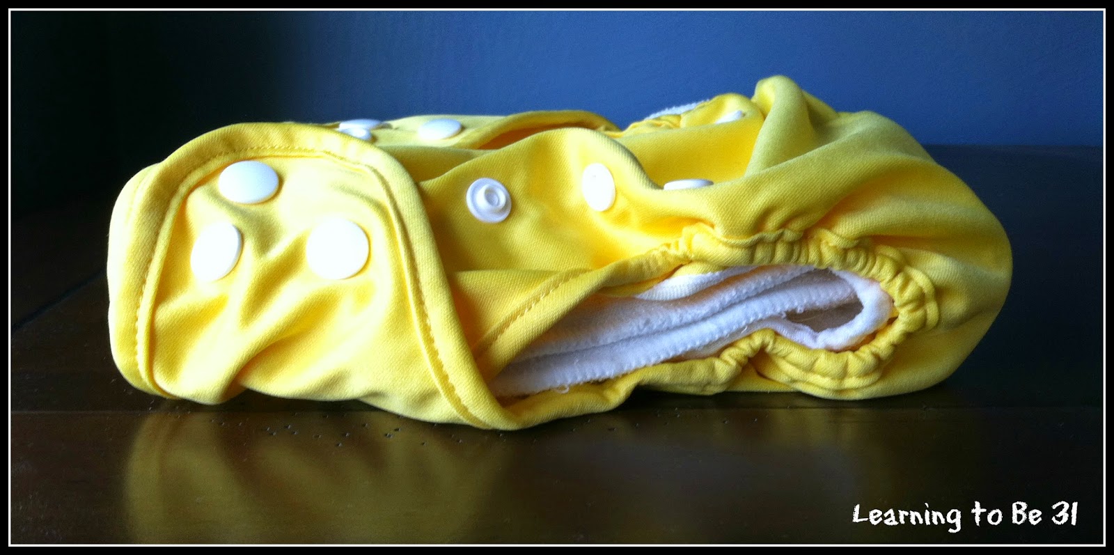 Learning to Be 31 WAHM Review (+ Giveaway) Wink Diapers *CLOSED*