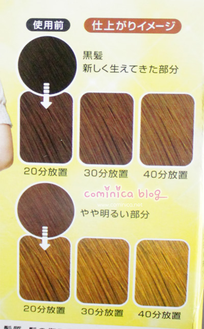 cominica blog new liese bubble hair prettia hi bleach review bleaching hair color chart