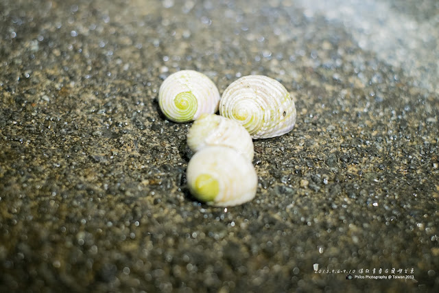 [台東] 蘭嶼三天兩夜遊記|蘭嶼自由行紀錄