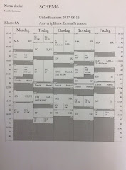 Schema 4A