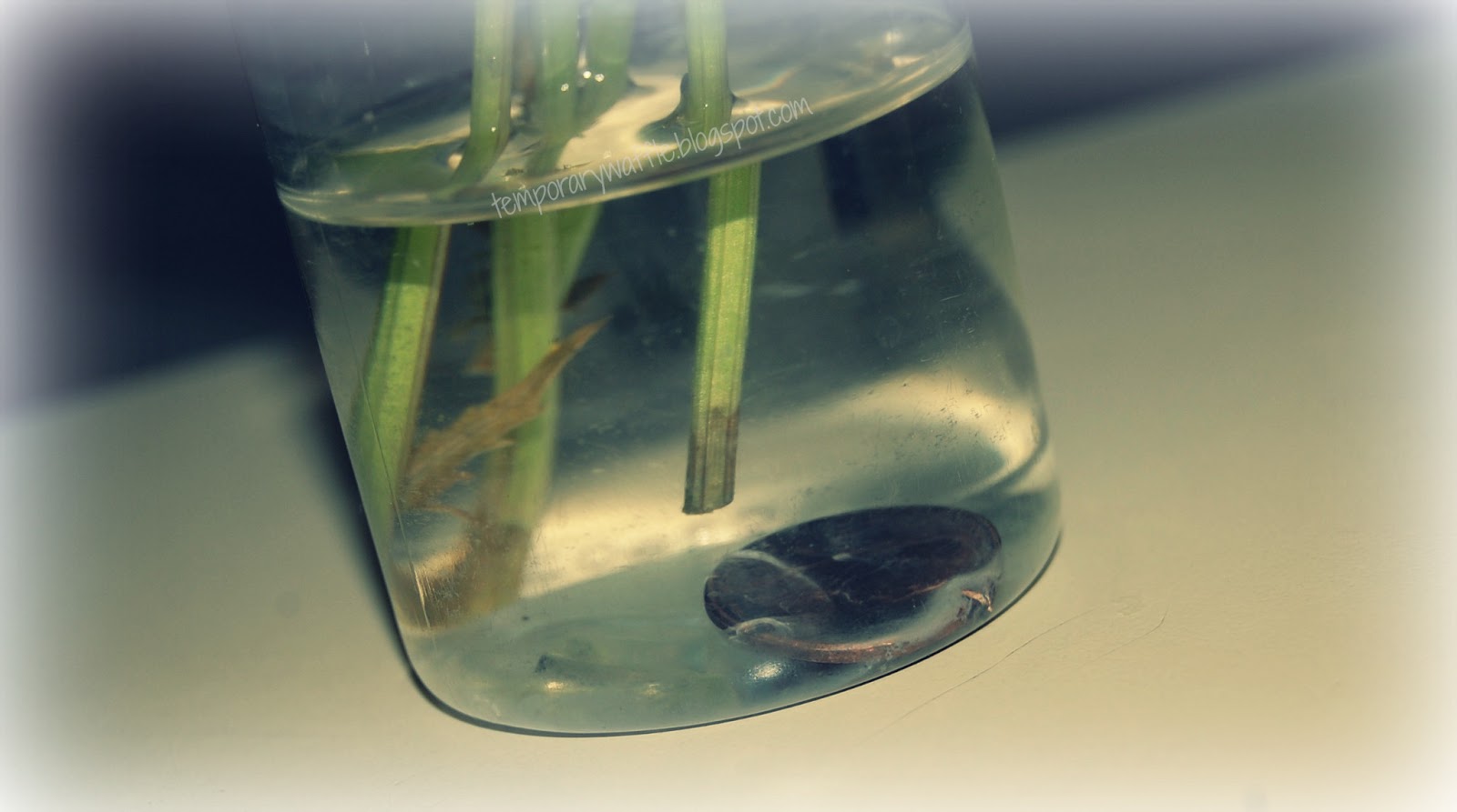 Temporary Waffle Penny Watered Flowers