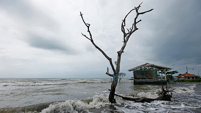 CALENTAMIENTO GLOBAL: La subida del mar amenazará a 150 millones de personas