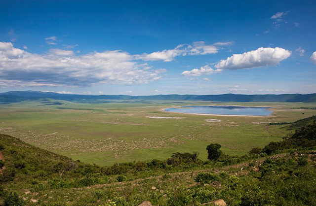So muss das Paradies sein ... Ngorongoro
