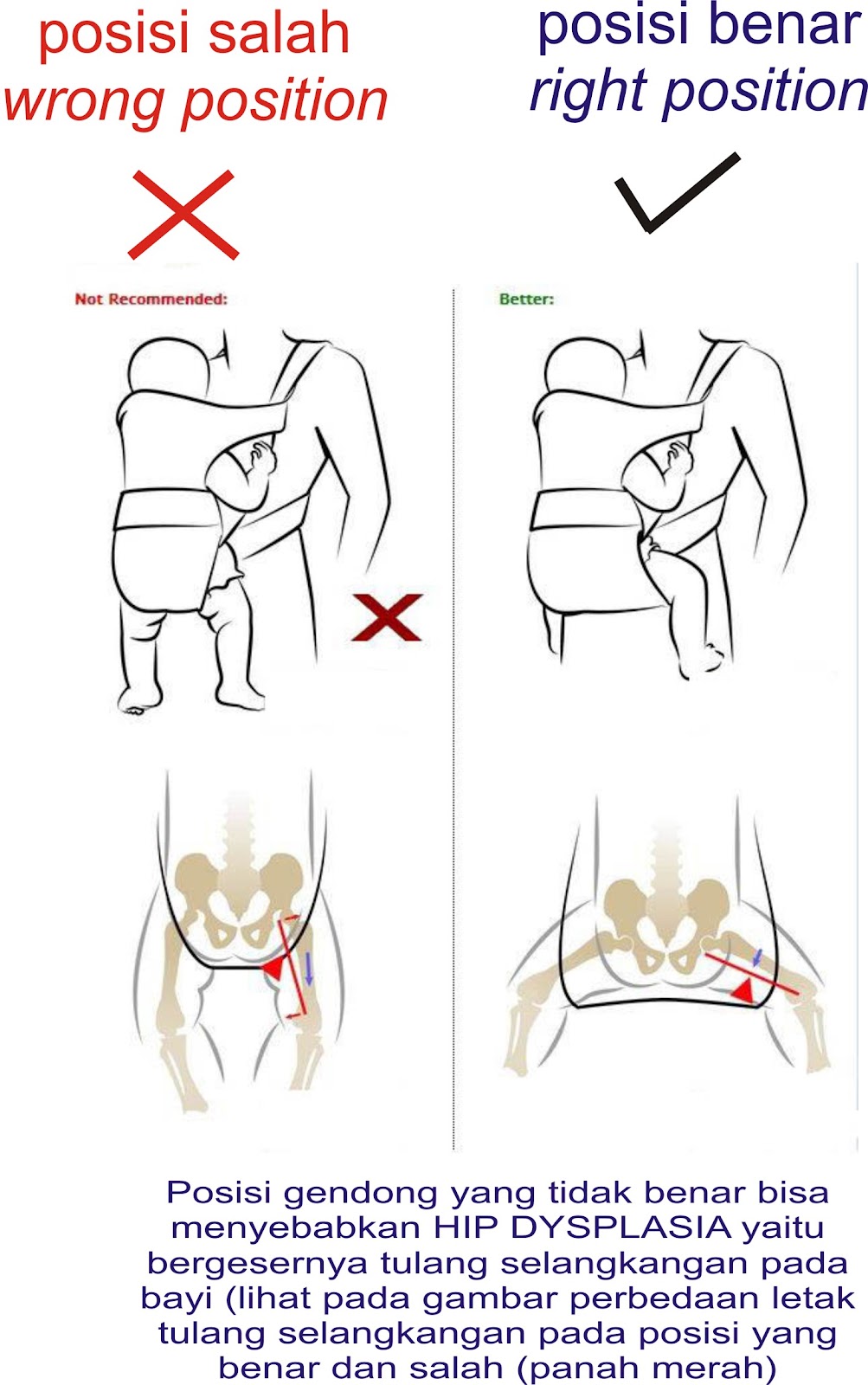 tottimotti gendongan bayi baby carrier tottimotti gendongan bayi baby carrier