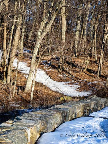 trailhead in winter