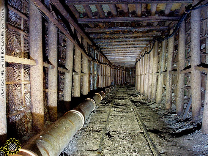 Another Joyride Party Und Hochzeitsband Aus Sachsen Eventpeppers