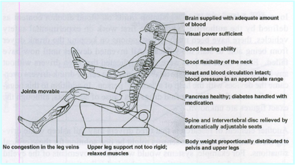 Automobile Comfort and Ergonomics