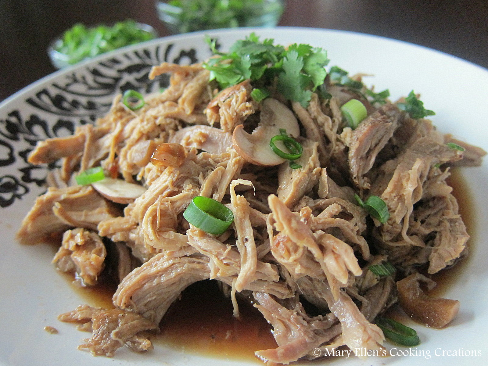 Mary Ellen's Cooking Creations Crock Pot Asian Pulled Pork