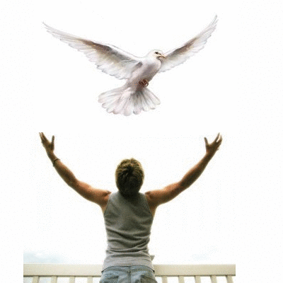 Spirit Holy