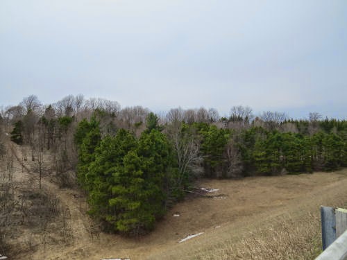 Star Hill
