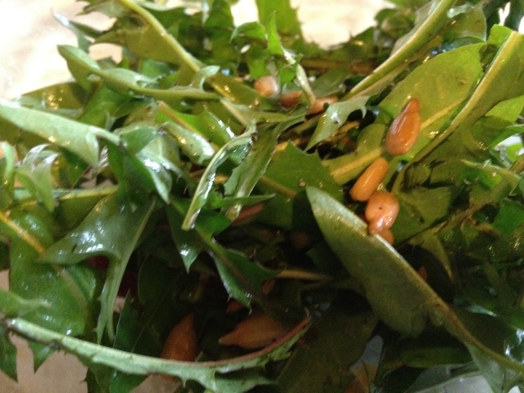 Spring Reading Quotes