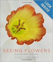 http://www.amazon.com/Seeing-Flowers-Discover-Hidden-Life/dp/160469422X/ref=sr_1_1?s=books&ie=UTF8&qid=1383774414&sr=1-1&keywords=seeing+flowers+discover+the+hidden+life+of+flowers