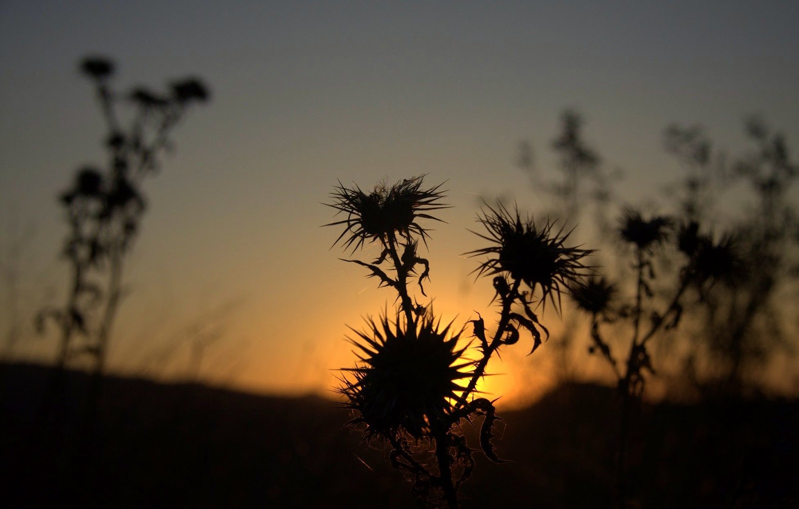 Dunyanin afede Hâli Zor