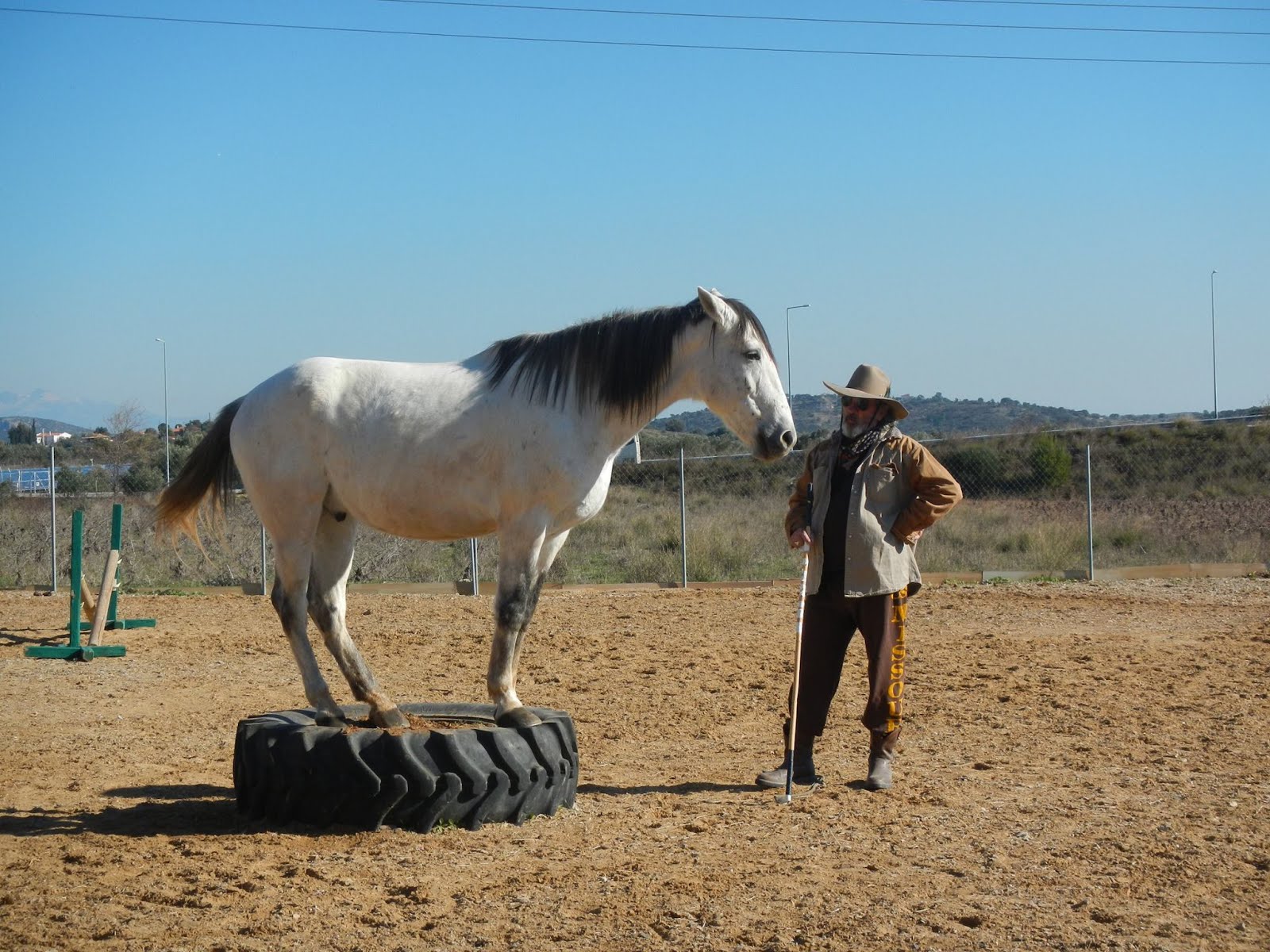 When the horse is free you find out the truth.-Steve Vergis