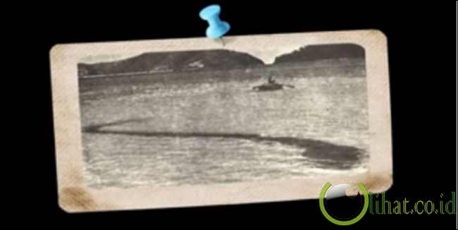 Monster Laut di Hook Island Monster Laut di Hook Island