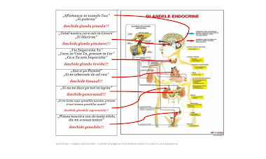 RUGACIUNEA TATAL NOSTRU SI SISTEMUL ENDOCRIN UMAN