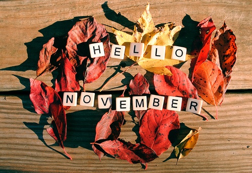 hello-november-card-with-fall-leaves.jpg