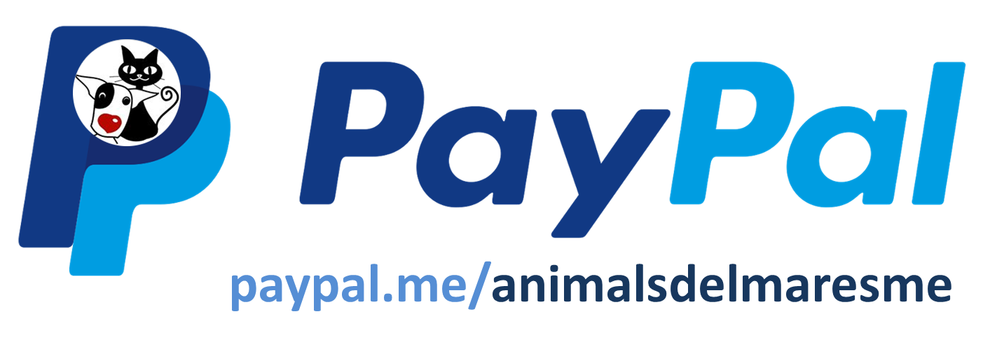 Ayúdanos, haz un donativo por Paypal