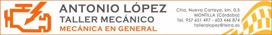 TALLER MECÁNICO ANTONIO LÓPEZ
