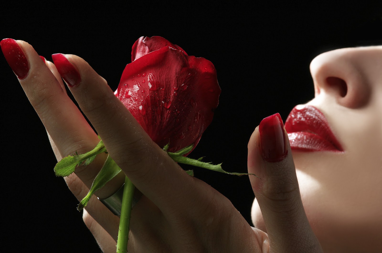 http://2.bp.blogspot.com/-AGsxXyPmkKc/UF959k2QkSI/AAAAAAAADqk/BBb7EYGIjII/s1600/lips&rose+(1).jpg