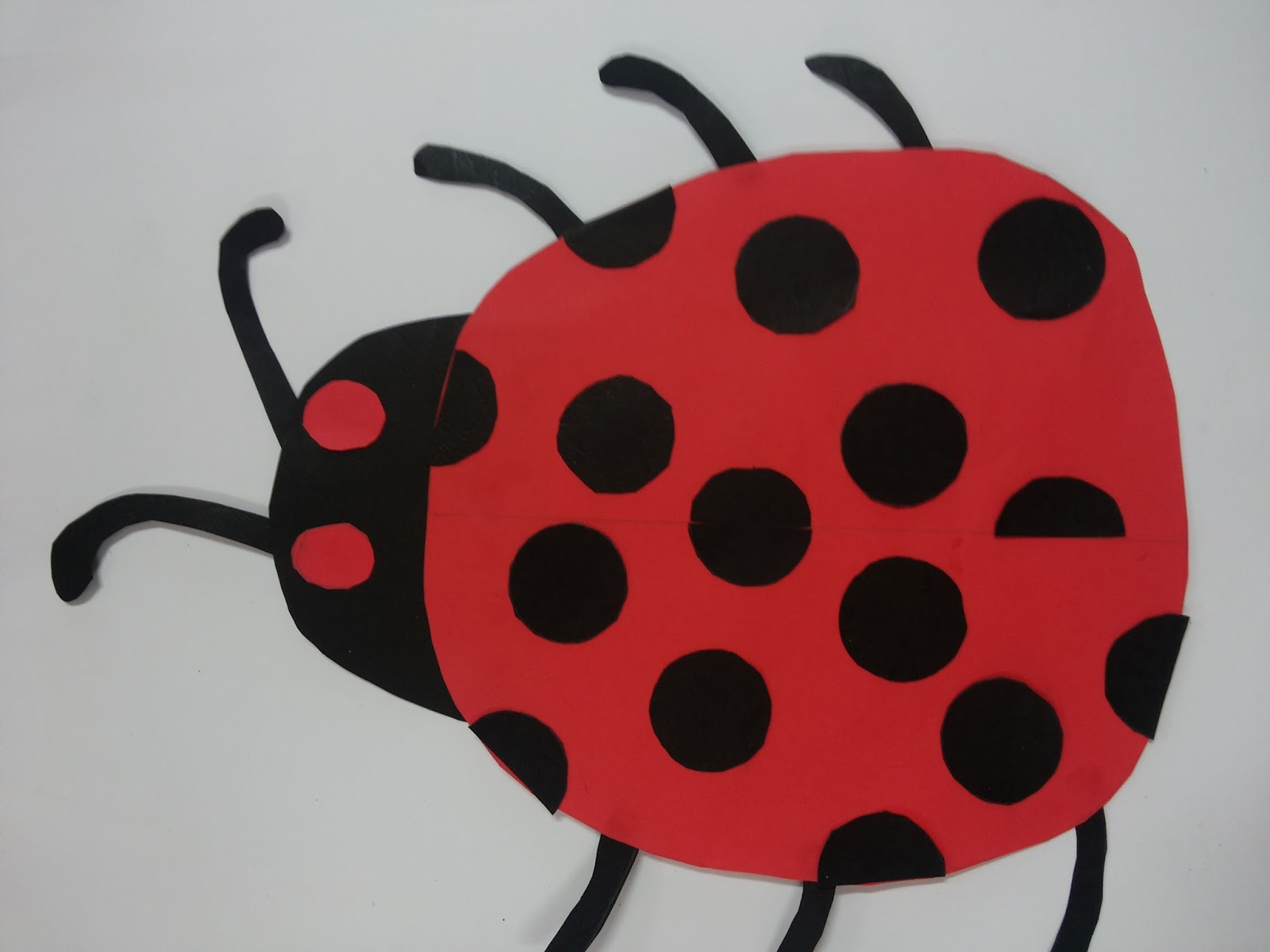 Panitia Psv Dsv Sk Parit Kasan Ladybird Kumbang Kura Kura