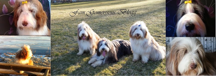 Fam. Gomerssons blogg