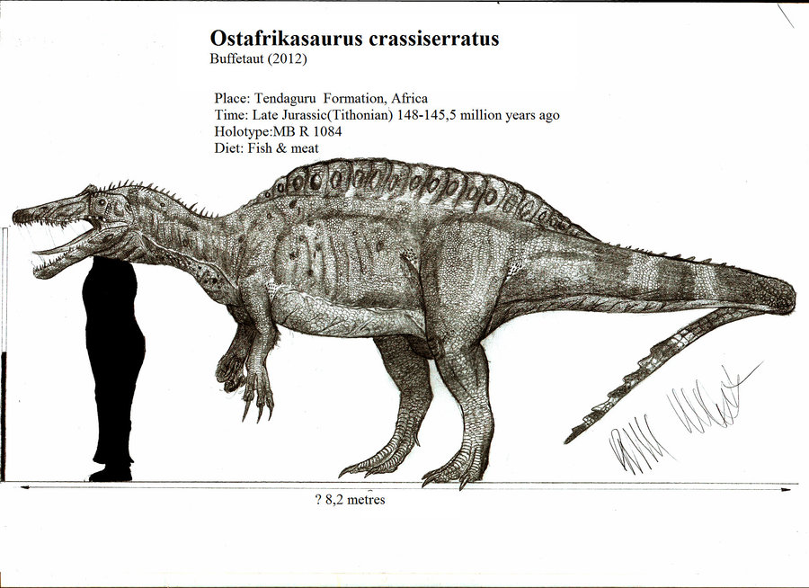 http://2.bp.blogspot.com/-AHLXetfOKEA/T57S-AxO66I/AAAAAAAAL8M/nljHTaBeF2I/s1600/ostafrikasaurus_crassiseratus_by_teratophoneus-d4xu5t7.jpg