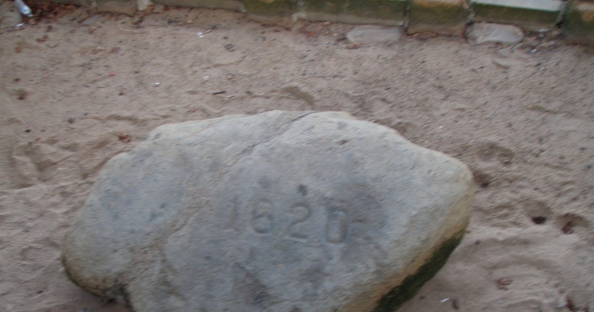 Morning Dew Plymouth Rocks!