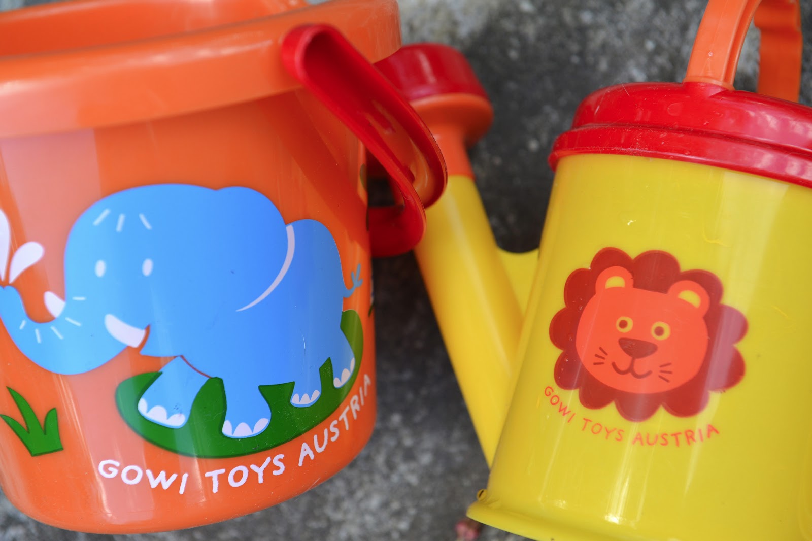 Living The Dream Chaoti On Tour