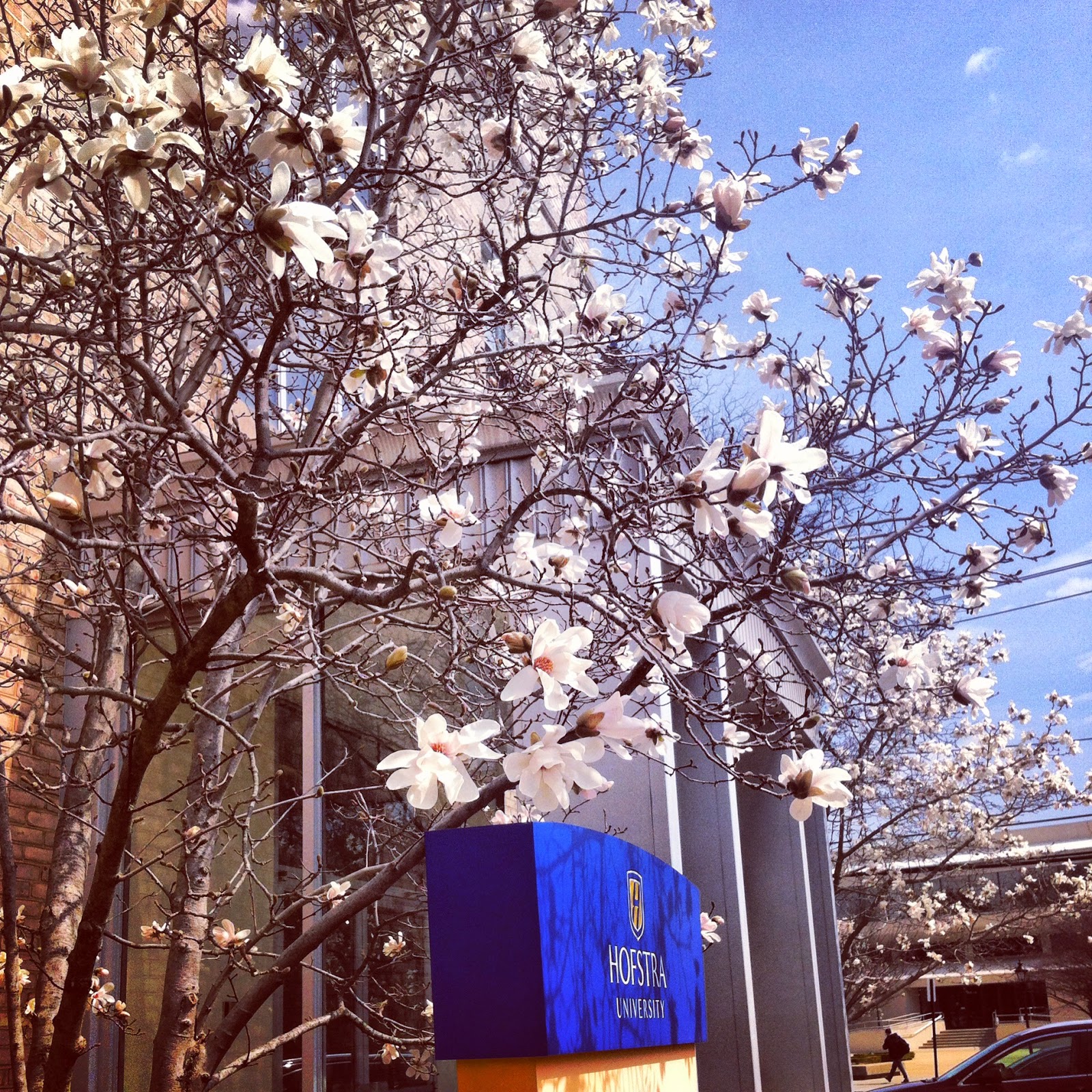 Hofstra Pride Guides Spring Time at Hofstra!