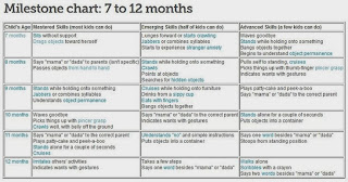 8 Month Milestones Chart