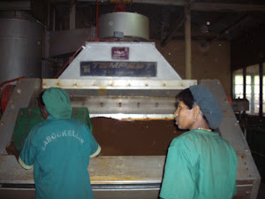 Tea manufacturing in progress at  " Macwoods Labookellie"  tea centre.