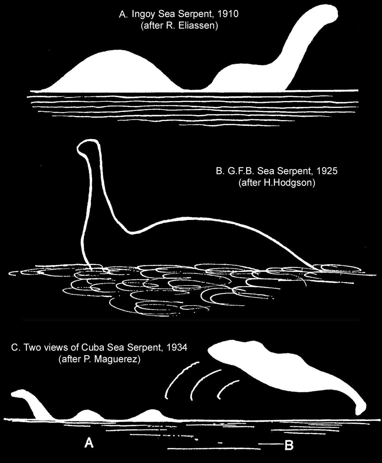 frontiers of zoology another