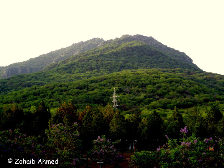 A View of Lush Green Margalla Hills