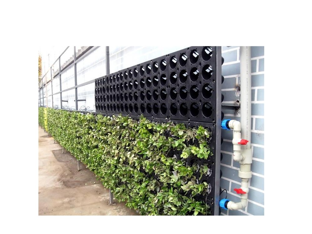 Interiorlivingwall Green Wall System CFIWP01