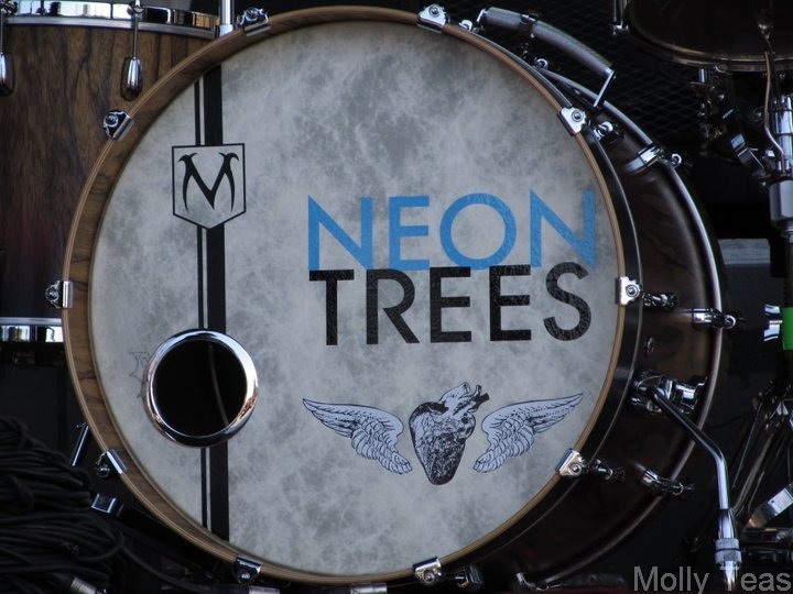 Neon Trees Mormon Members