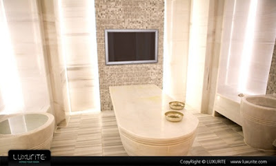 Modernos y Elegantes Baño con TV en el 2013 | Decoracion de salones
