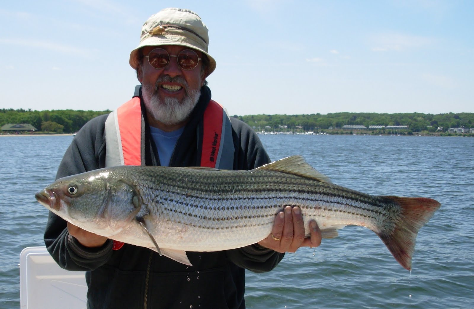 no fluke fishing: June 2011