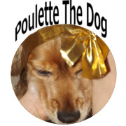 Poulette The dog te salue