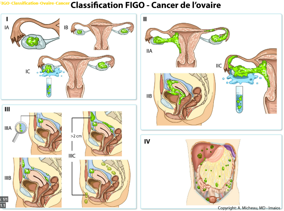 Petit guide de traumatologie Equipe dorthopdie de lUCL